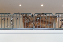 12Lobby-Railing