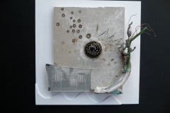 Oceanic-2011